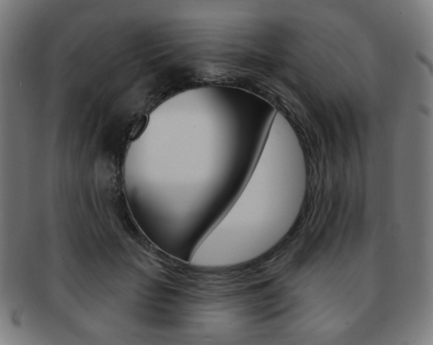 X0000091890653200709051045