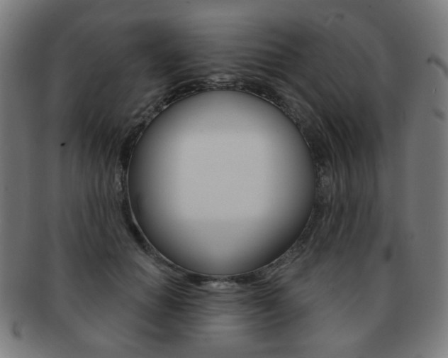 X0000091890654200709051045