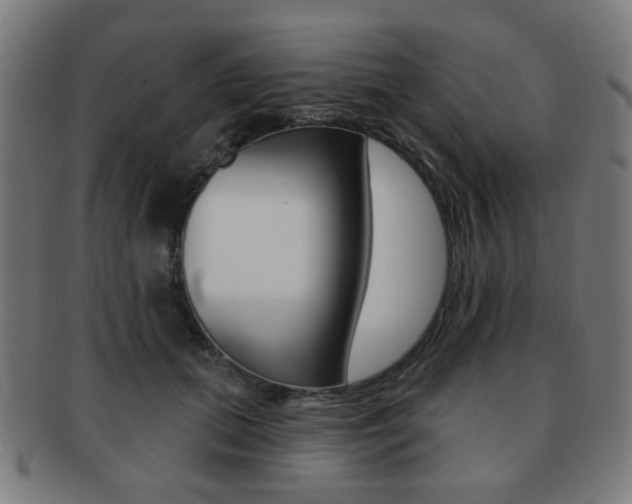 X0000091890655200709051045