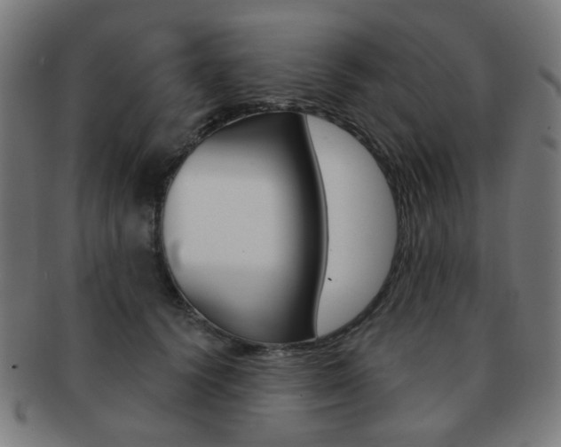 X0000091890656200709051045