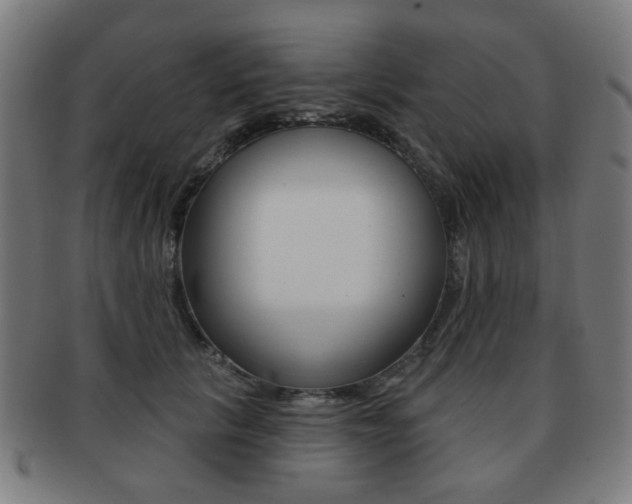 X0000091890657200709051045
