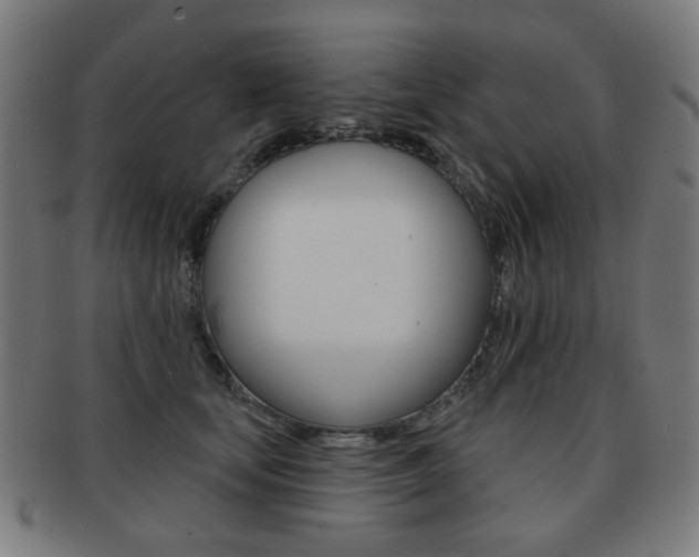X0000091890659200709051045