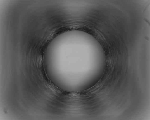 X0000091890660200709051045