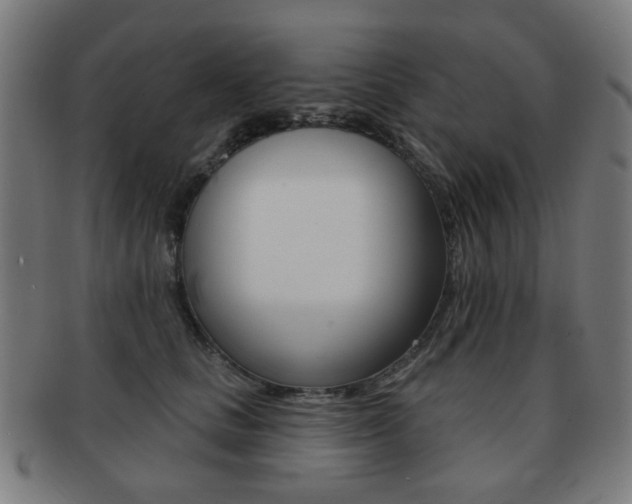 X0000091890661200709051045