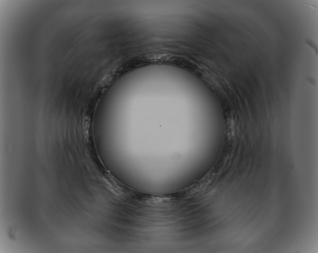 X0000091890664200709051045