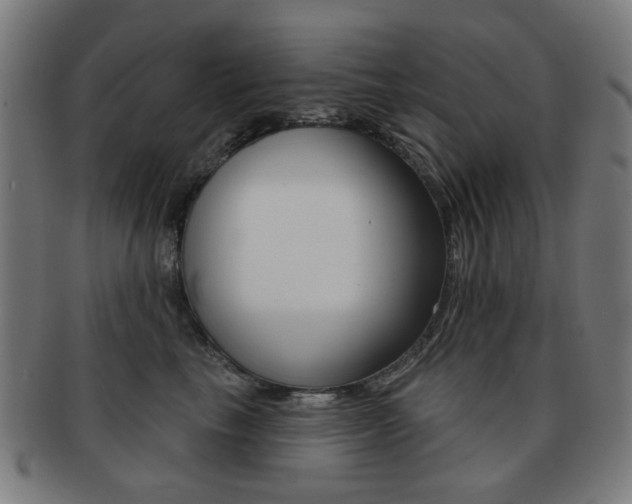 X0000091890665200709051045