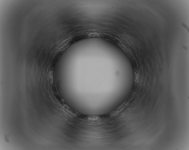 X0000091890666200709051045