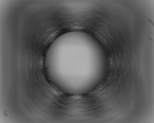 X0000091890668200709051045