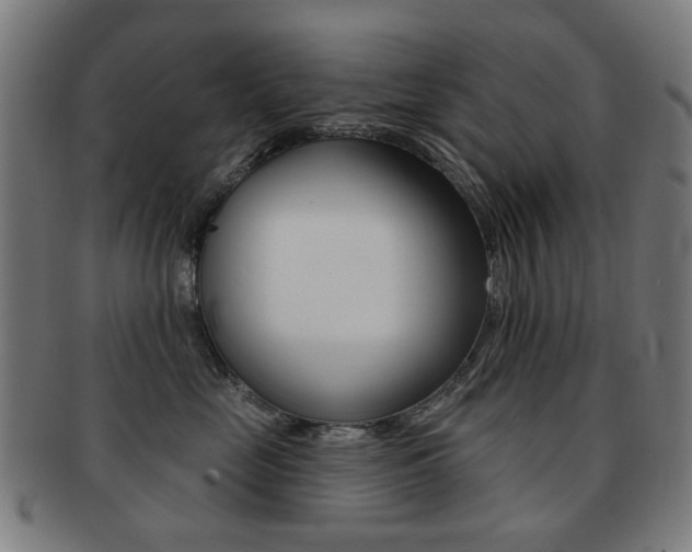 X0000091890669200709051045