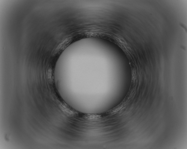 X0000091890670200709051045
