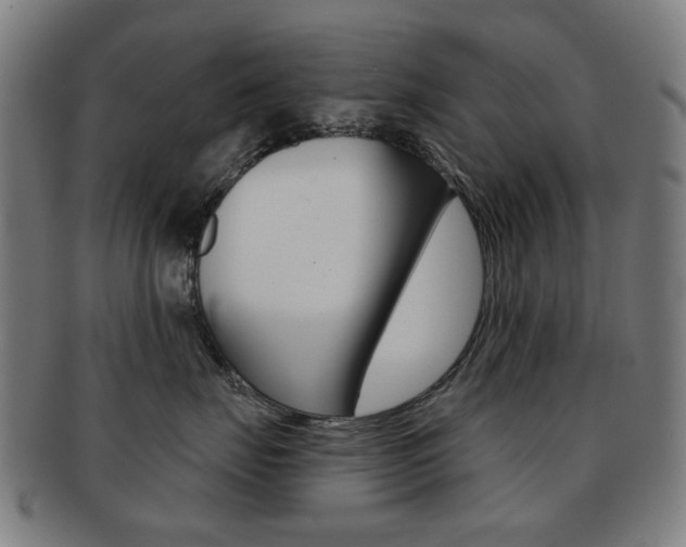 X0000091890671200709051045