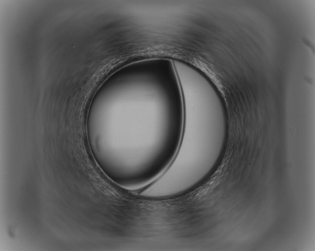 X0000091890673200709051045
