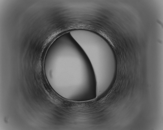 X0000091890674200709051045