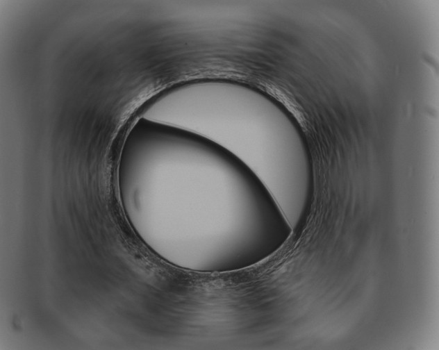 X0000091890675200709051045