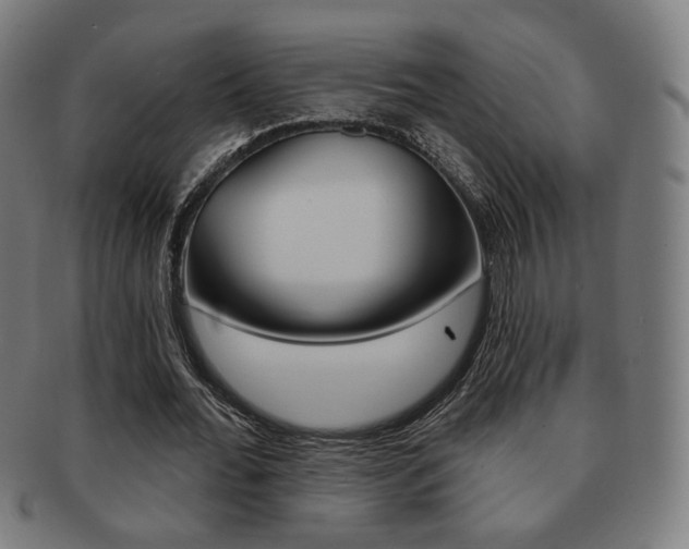 X0000091890676200709051045