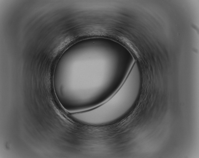 X0000091890677200709051045