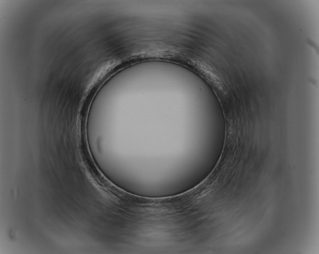 X0000091890678200709051045