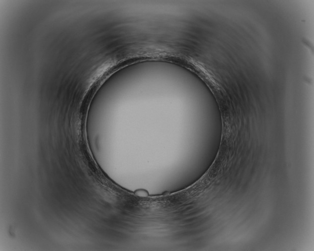 X0000091890679200709051045