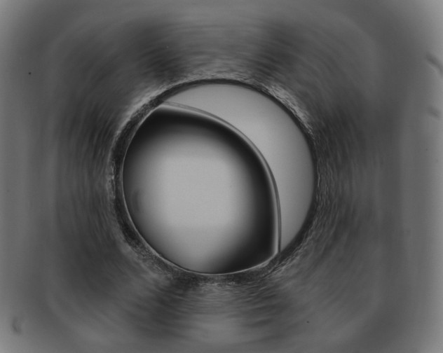 X0000091890680200709051045