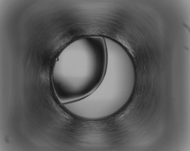 X0000091890681200709051045