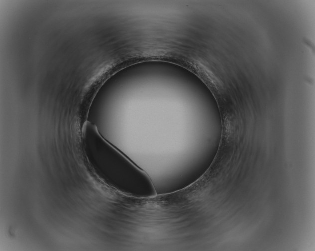 X0000091890684200709051045