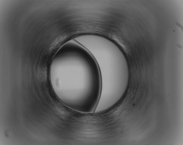 X0000091890685200709051045