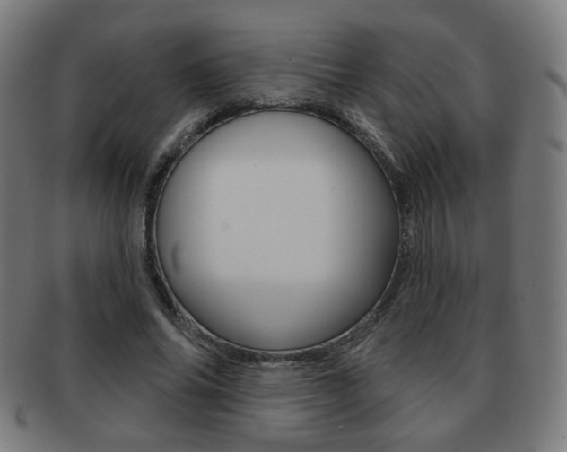 X0000091890686200709051045