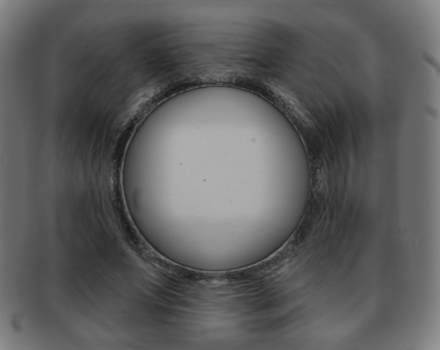 X0000091890687200709051045