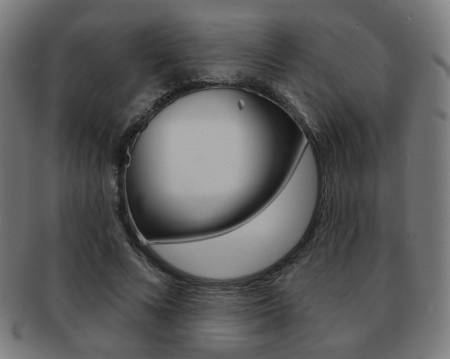 X0000091890688200709051045