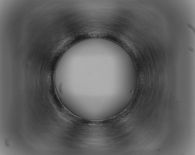X0000091890690200709051045
