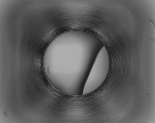 X0000091890691200709051045