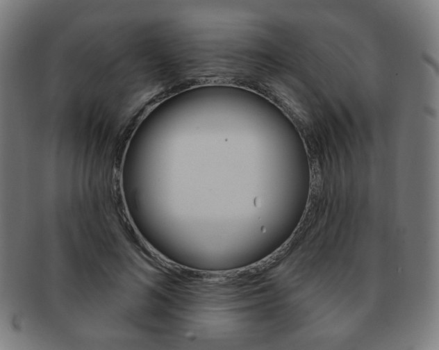 X0000091890692200709051045