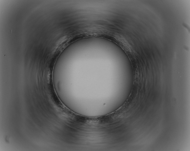 X0000091890694200709051045