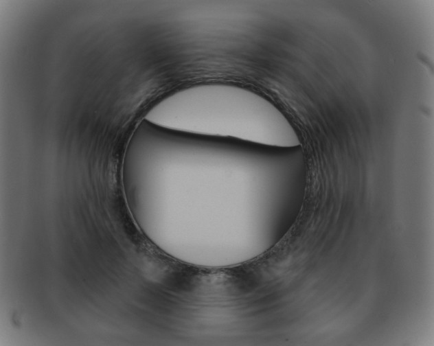 X0000091890695200709051045