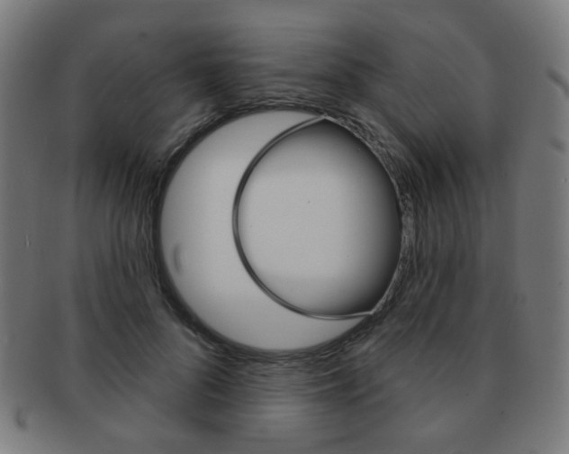 X0000091890696200709051045