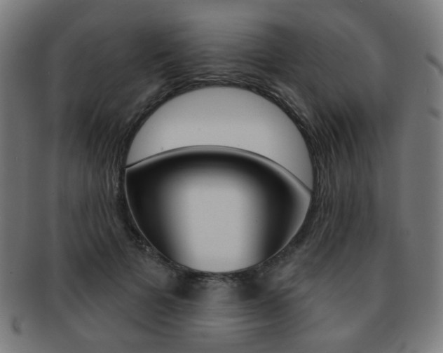 X0000091890697200709051045