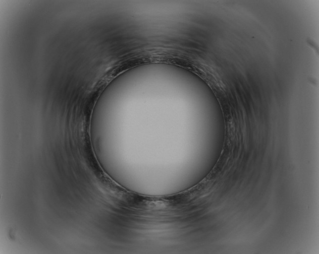 X0000091890698200709051045