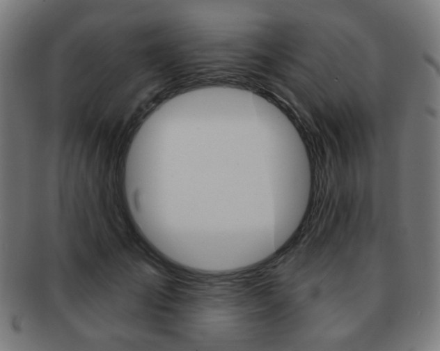 X0000091890701200709051045