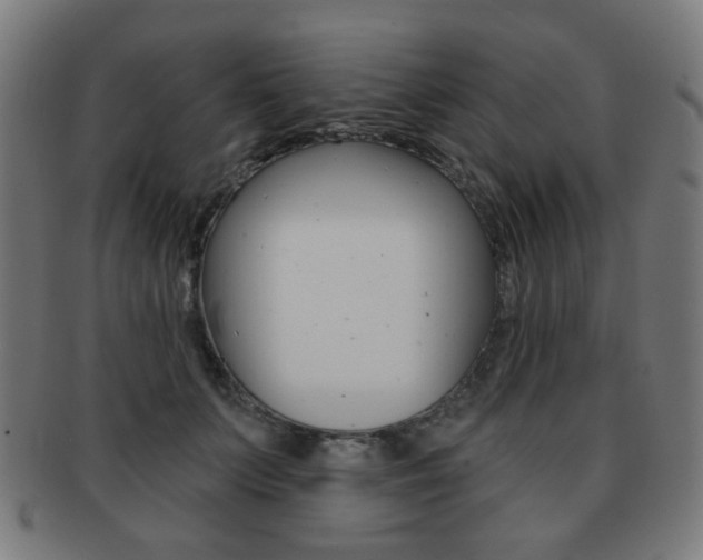X0000091890703200709051045