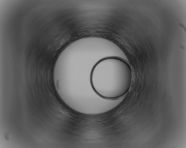 X0000091890704200709051045