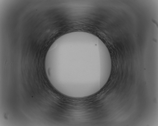 X0000091890705200709051045
