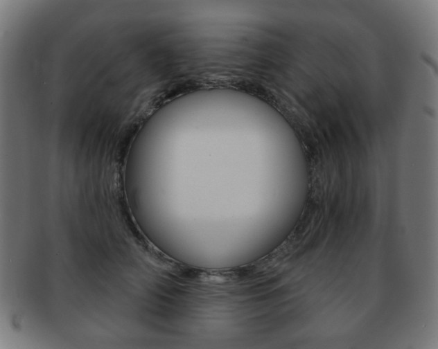 X0000091890706200709051045
