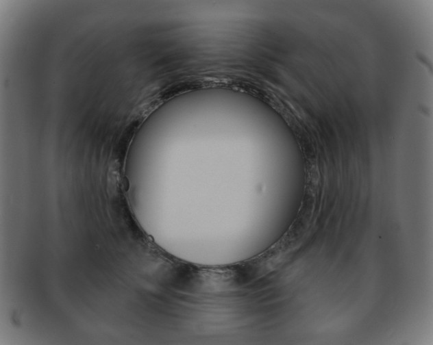 X0000091890707200709051045