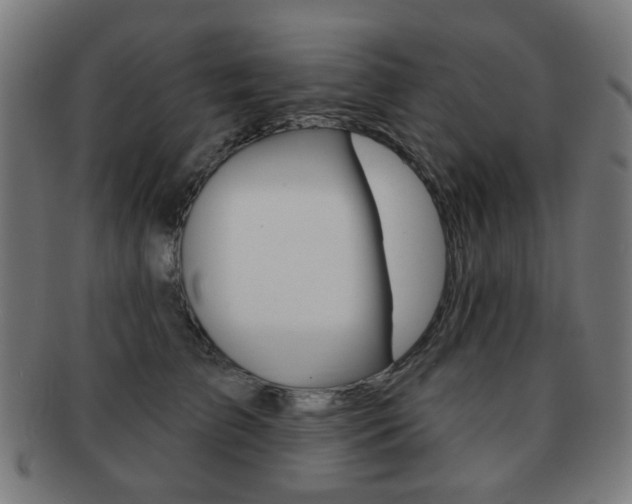 X0000091890709200709051044