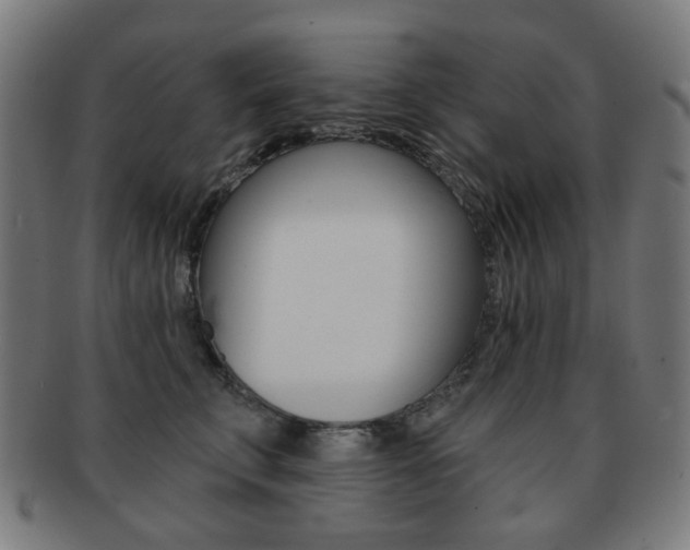 X0000091890711200709051044