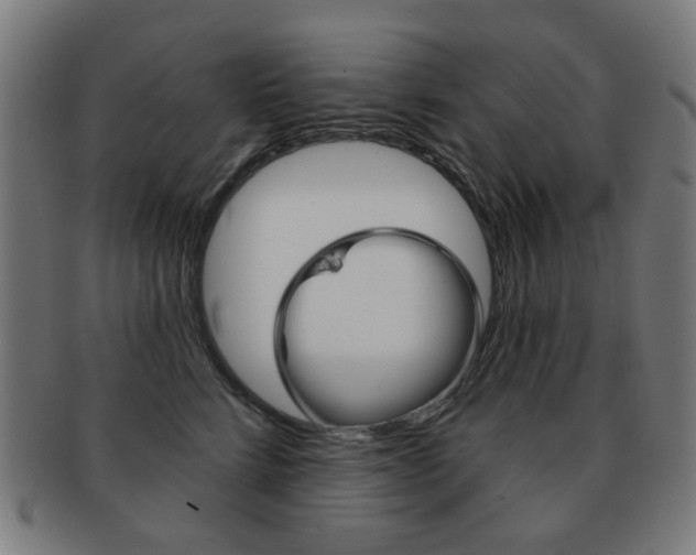 X0000091890712200709051044