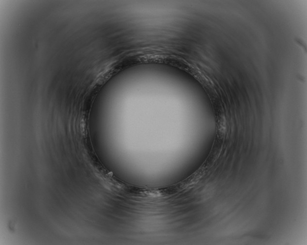 X0000091890715200709051044