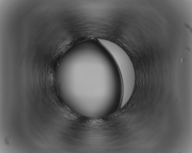 X0000091890716200709051044