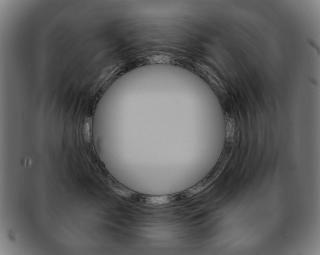 X0000091890717200709051044