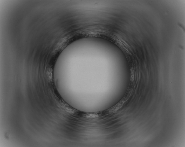 X0000091890718200709051044